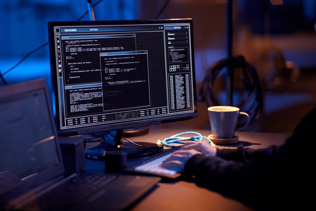 Web Development